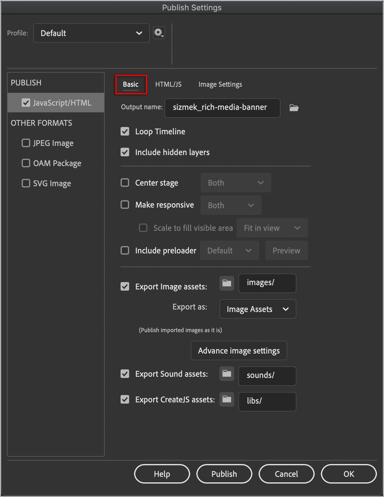 AdobeAnimate_publish-settings_tab-Basic.png